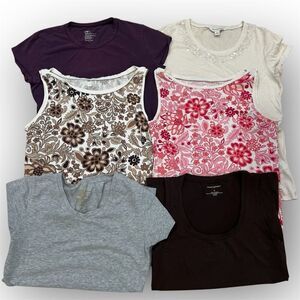 Gap, Banana Republic & Danskin now, T-Shirt & Tank Top Lot of 6, Women’s S/M